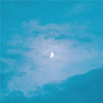 遮天飞仙手游下载